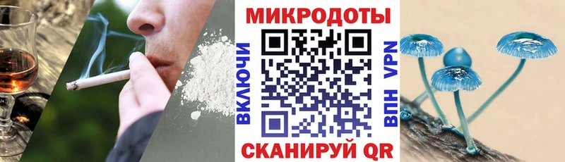 Галлюциногенные грибы мухоморы мега как войти Обоянь